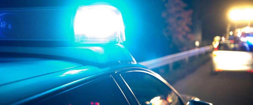 KINA - Nachts auf Hasen-Suche