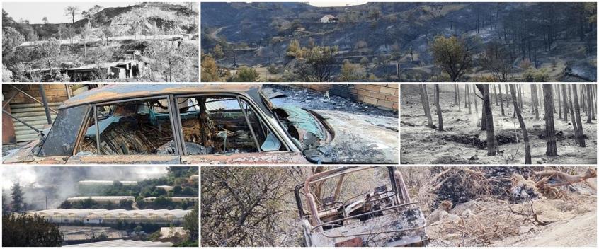 3965259261052128 cache 846x3000 Analog medium 831947 381387 772021