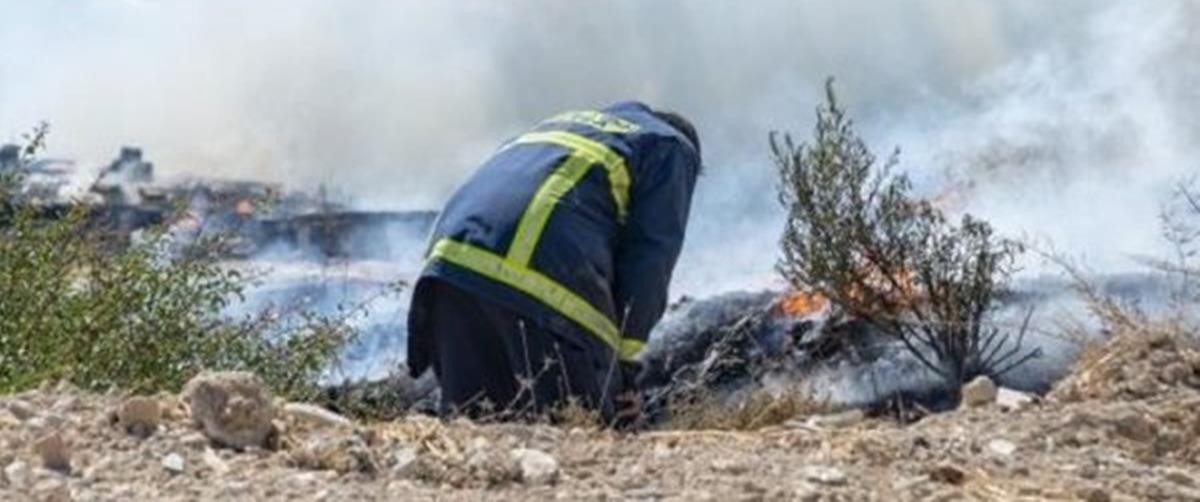 3967732417899800 image