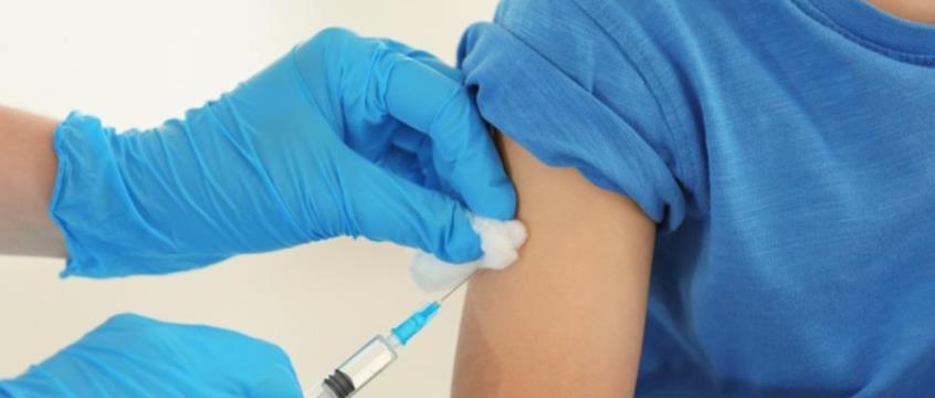 3971354214246518 cache 846x3000 Analog medium 842434 110747 3072021