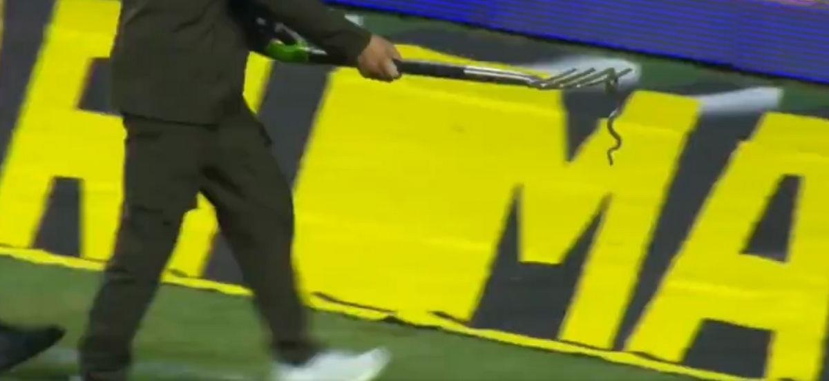 3972110246868717 screenshot (7)