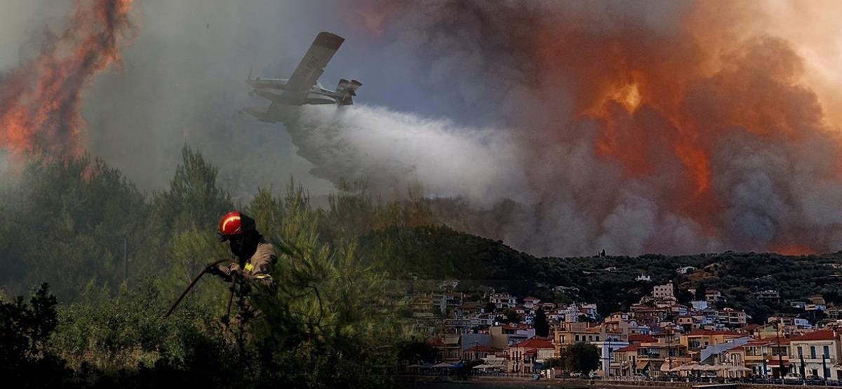 3973226749800352 fwtia eyboia