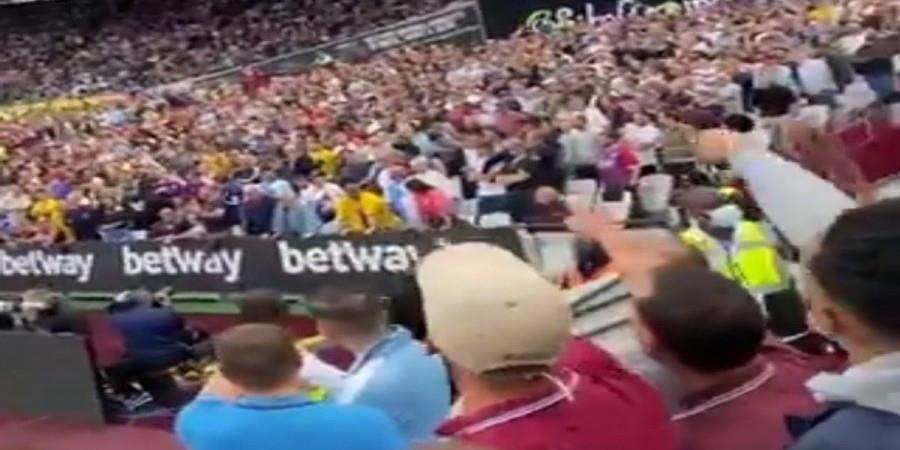 3994171343523622 image