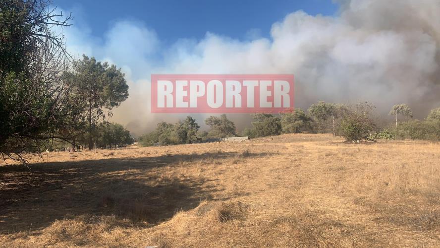 4005246036437909 240733235 1223574278122290 565122812614253671 n