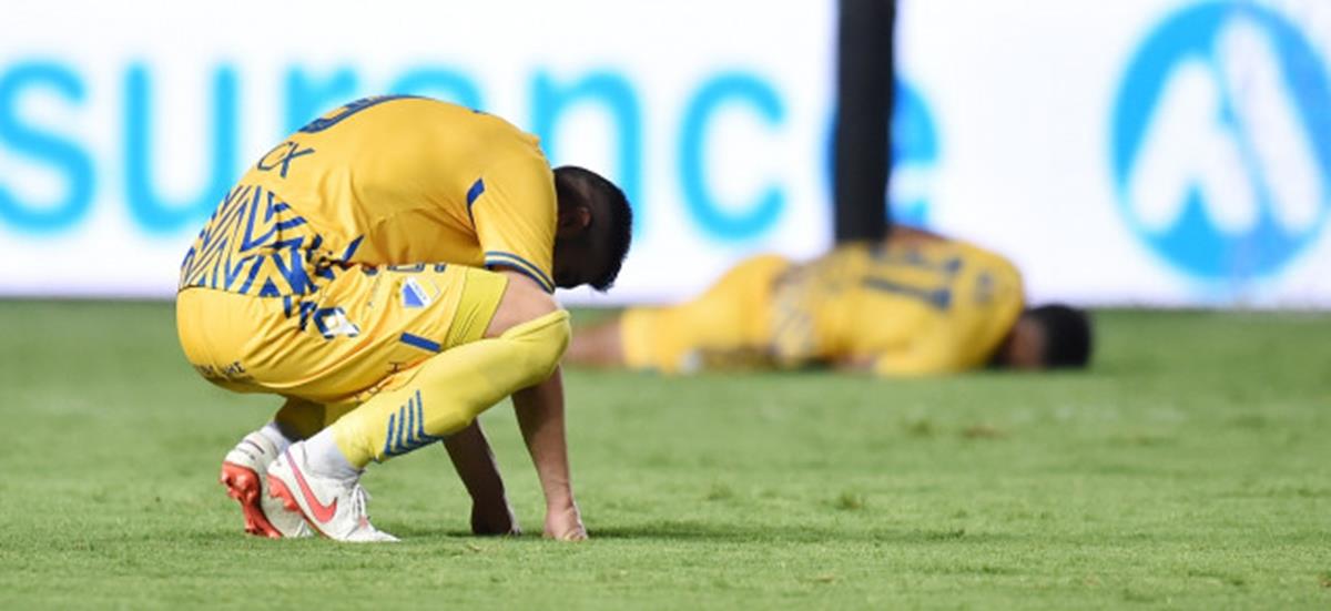 4007998850053694 thumbnail preview (44)