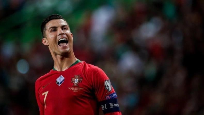 4035346963017662 image