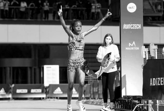 4036244159273426 image