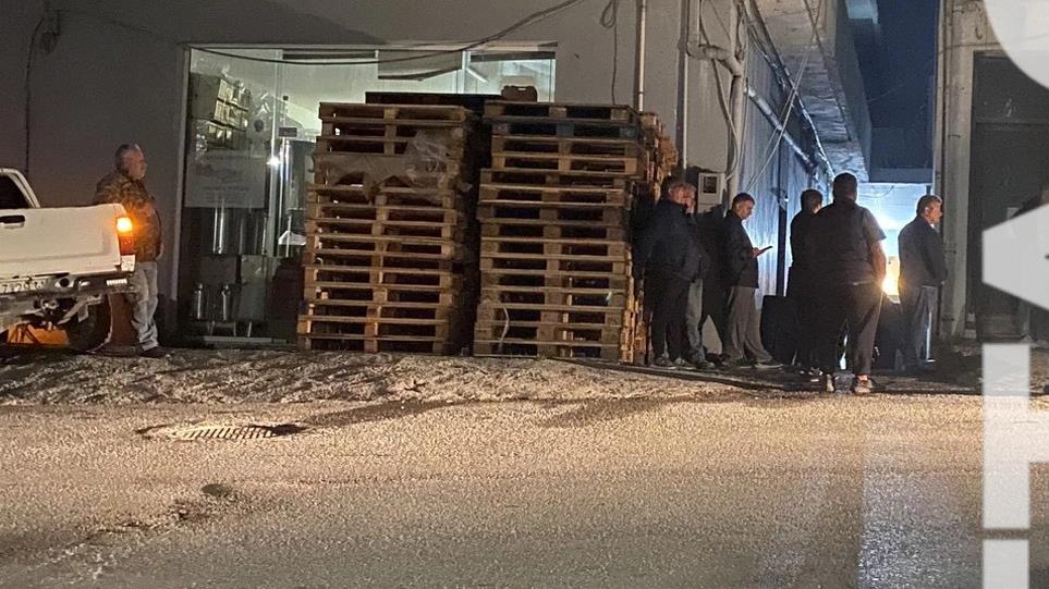 4065380837430144 image