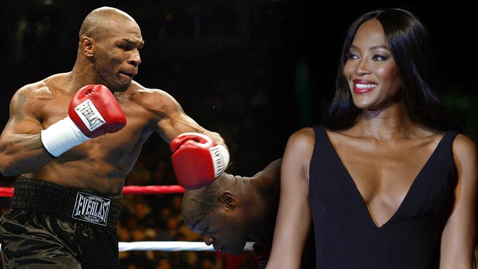 4066653375360230 image