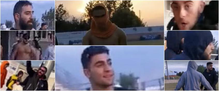 4069690786423950 image