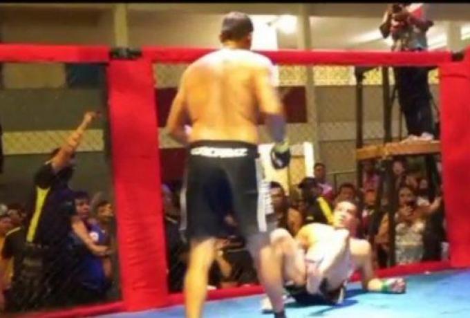 4087975273710892 image