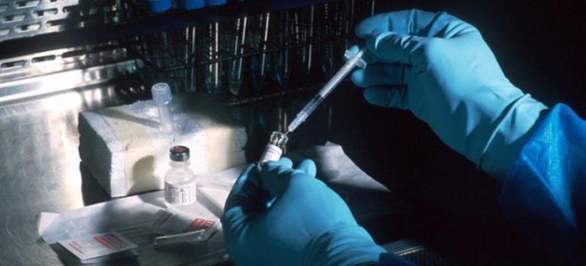 4109622930912760 cache 1920x1080 Analog medium 818189 36556 362021