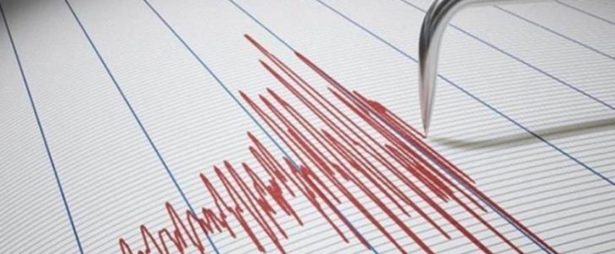 4125850291599467 cache 728x3000 Analog medium 1387164 101819 2812022