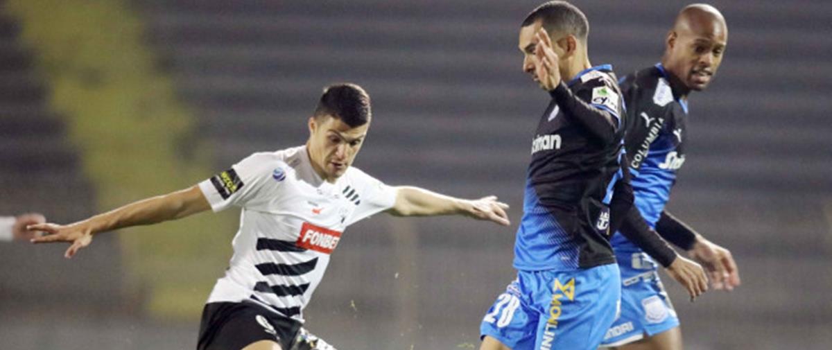 4141888559622642 cats