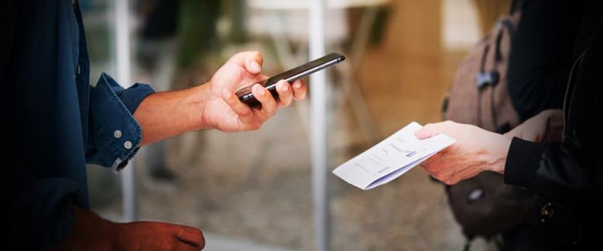 4186644204529253 image