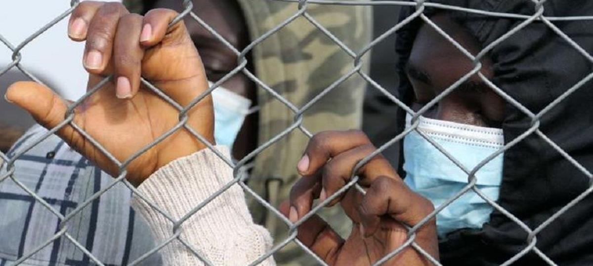 4191819598428483 b b imagew 2021 12 15t154720 592