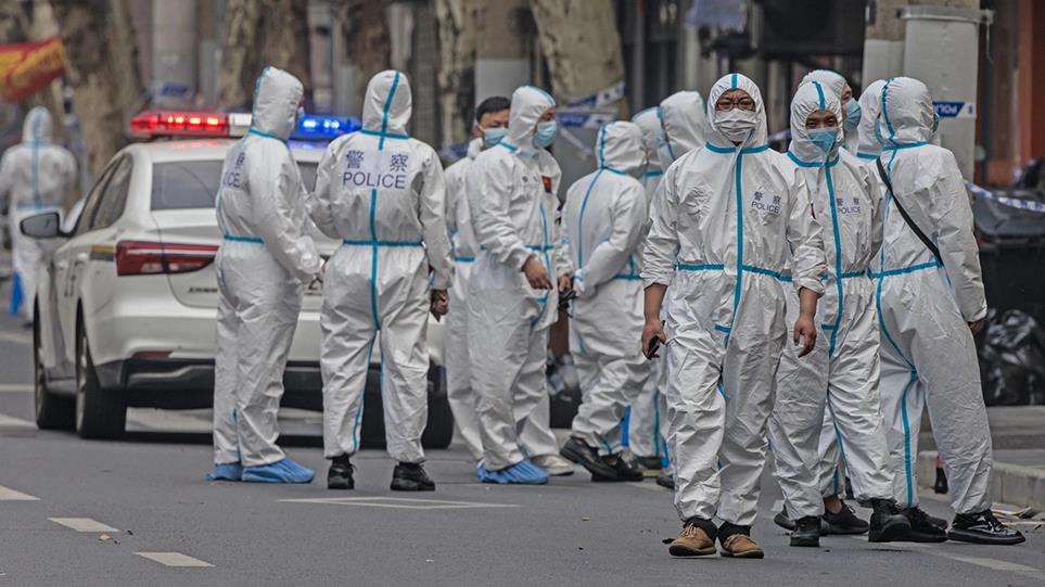 4200387802076458 image