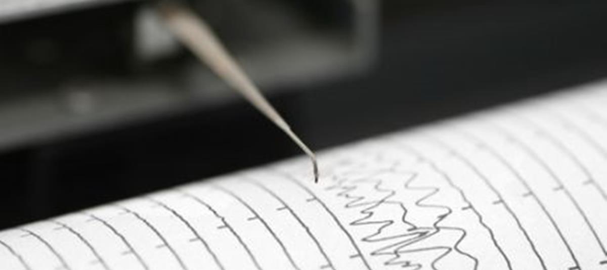 4202478210096571 seismos