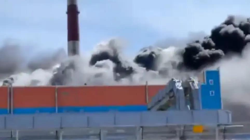 4205507376756223 image