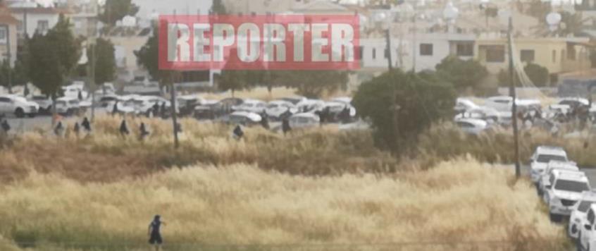 4209168383133981 image