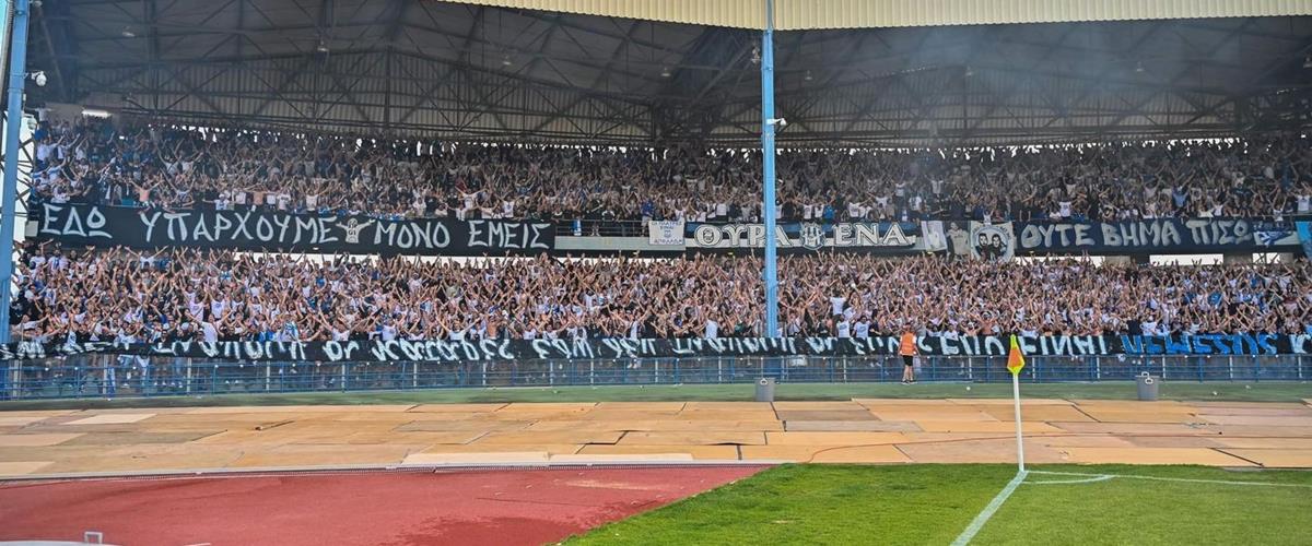 4213145491129995 cats