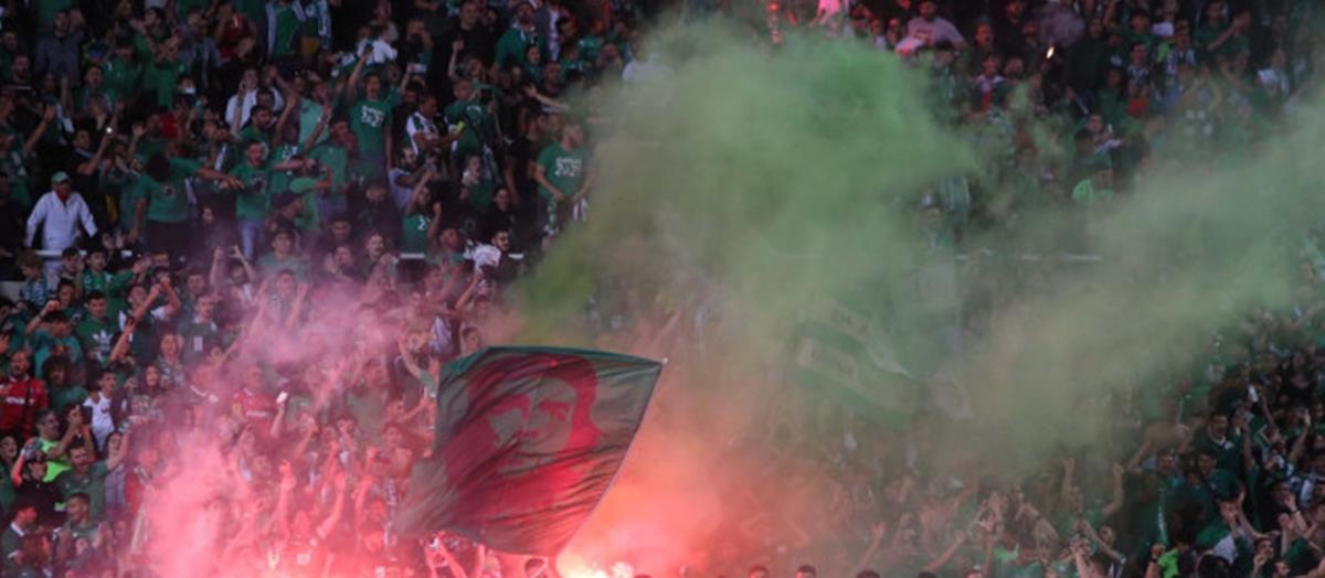 4220198432828626 thumbnail preview