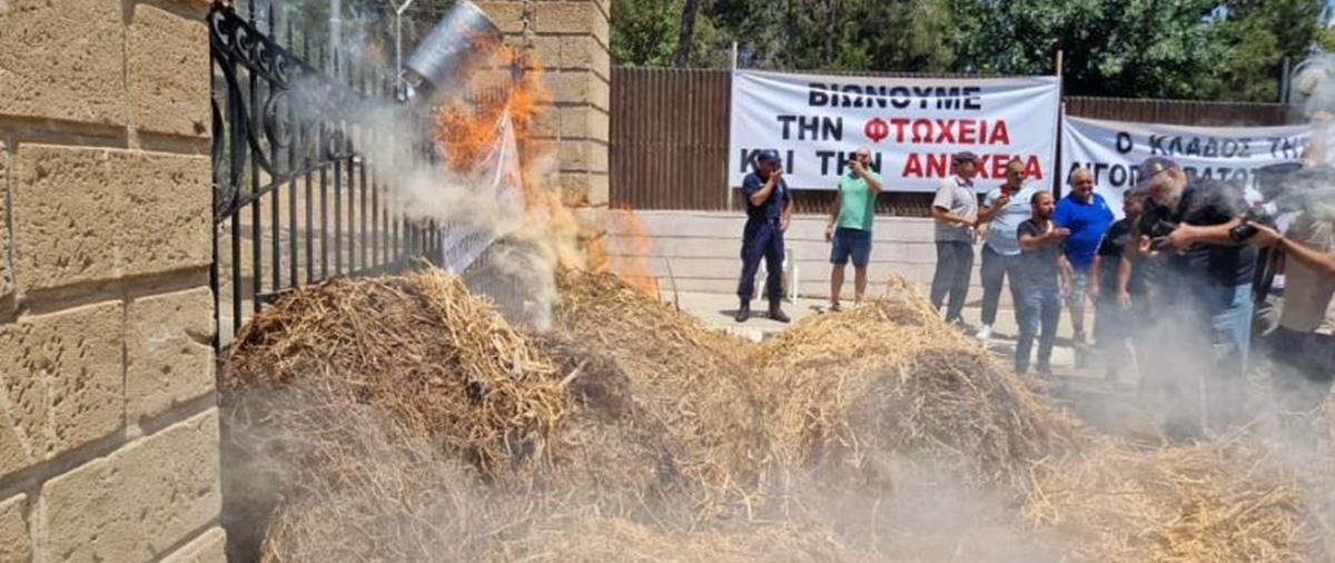 4221748503723015 cache 846x3000 Analog medium 955857 146341 1852022