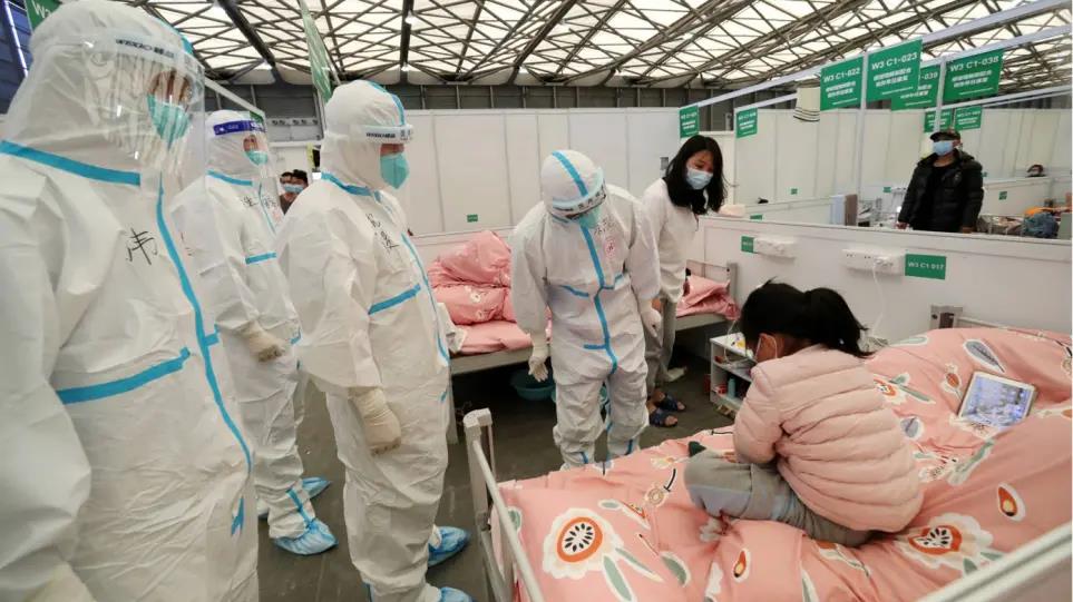 4230535907196679 image