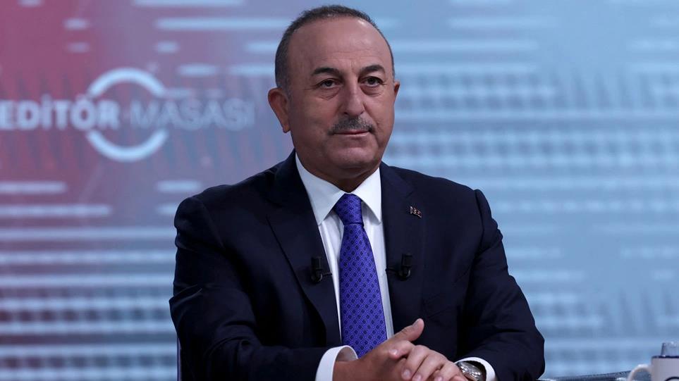 4235582021977118 image