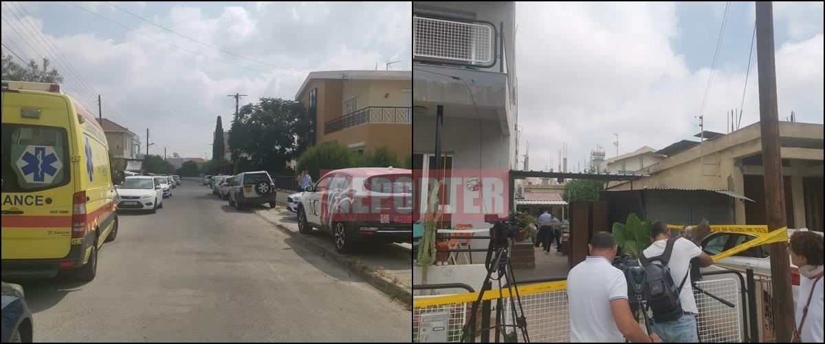 4237430713417038 image