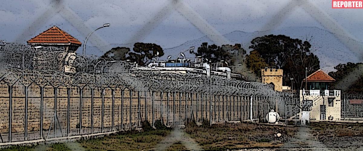 4247273511532139 image