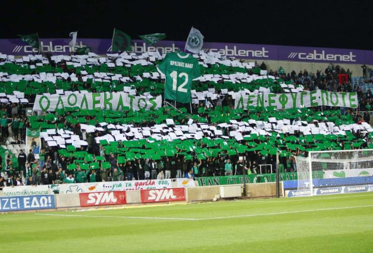 4251346128224943 image