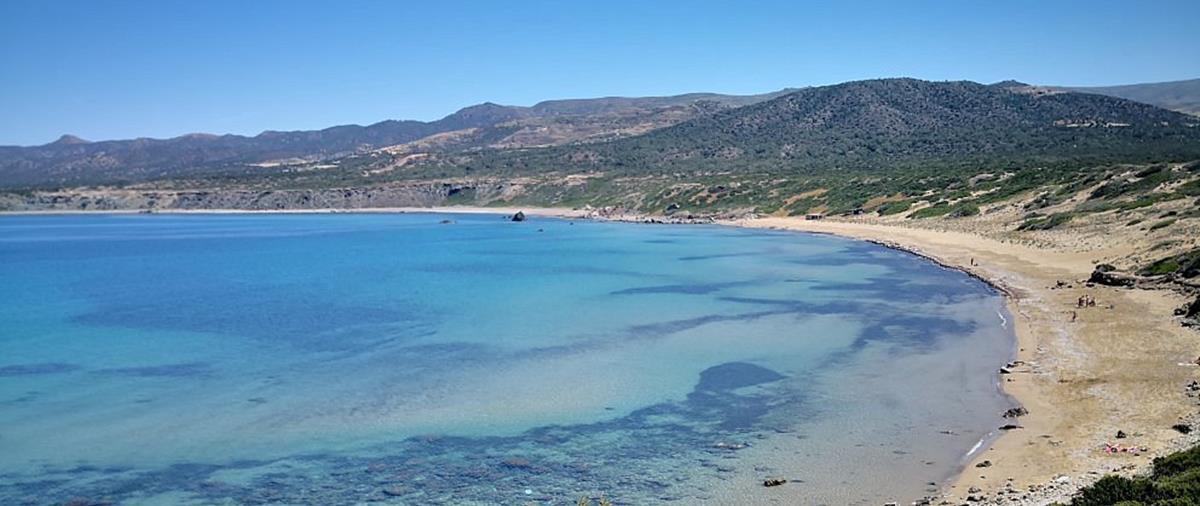 4255738004125127 img-20190513-112529-largejpg