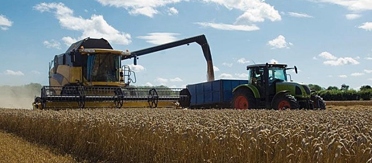 4267926220090015 b b sitira1