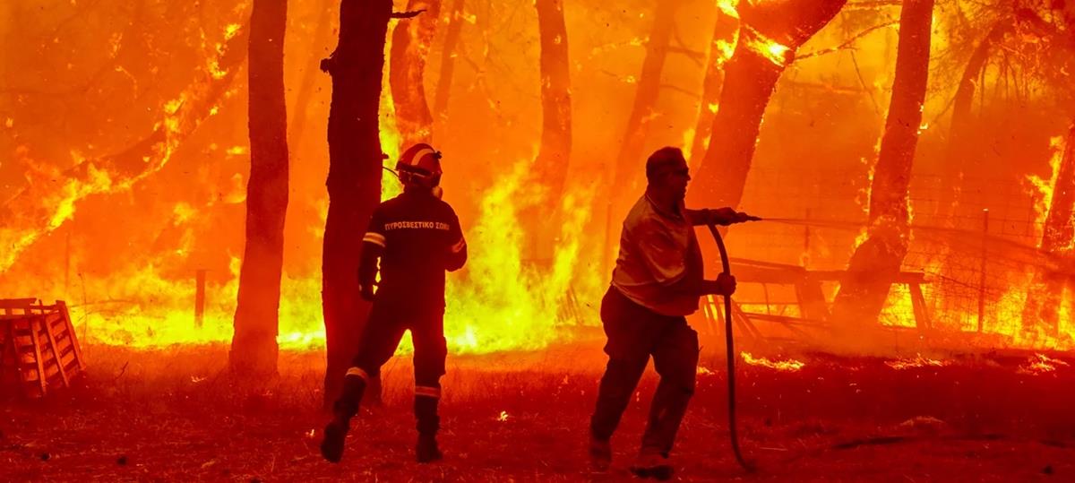 4278221159103846 500