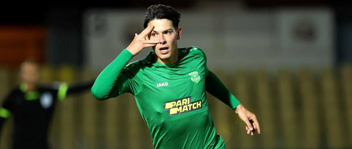 4279817764409075 stepinski