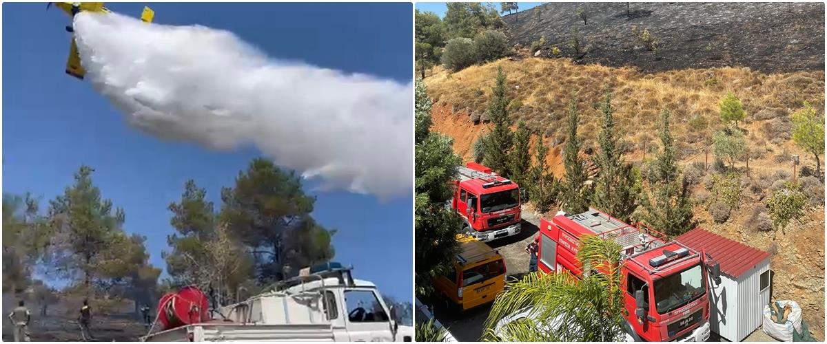 4280814181452010 800