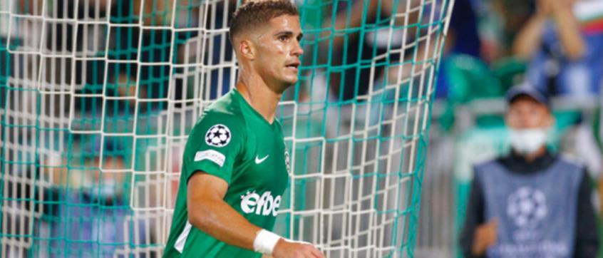 4283251094540463 cache 846x3000 Analog medium 930336 1826355 1532022