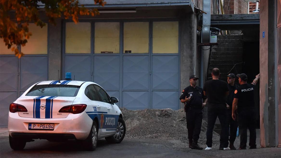 4296196687044327 image