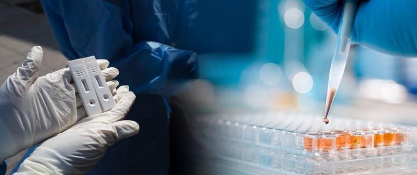 4298791116781240 cache 846x3000 Analog medium 974488 136888 272022