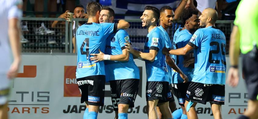 4316076784622622 image