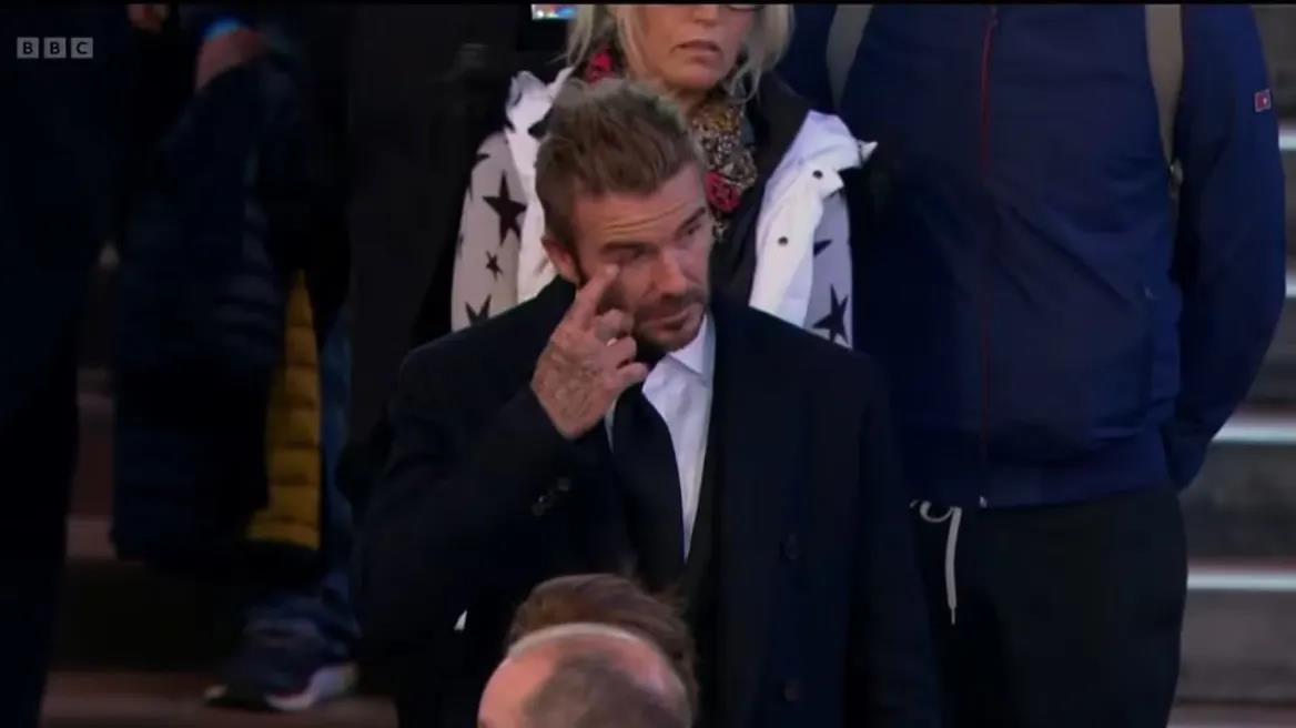 4325964604888936 image