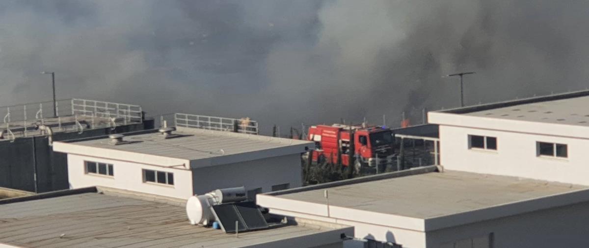 4331866776321517 308068473 1883343828665415 6753078662796637052 n