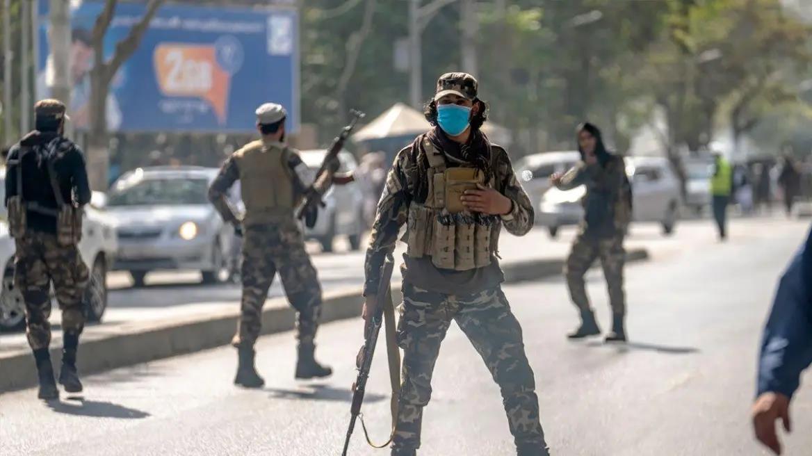 4337597095518299 image