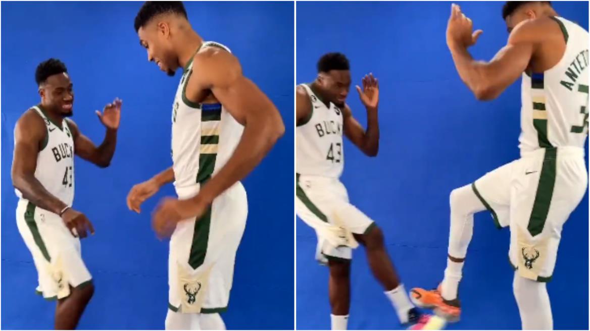 4338444034506413 image