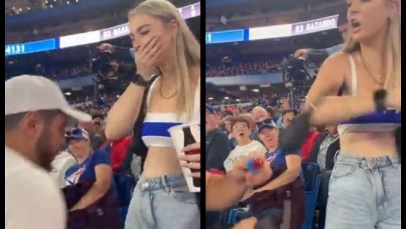 4343872710116314 image