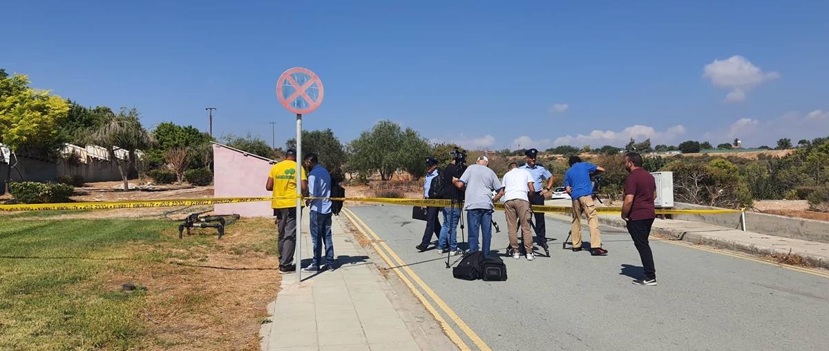 4348947832540573 cats