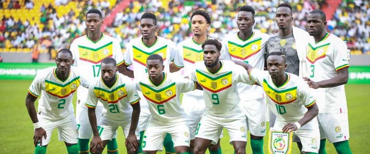 4386284099692750 σενεγκα