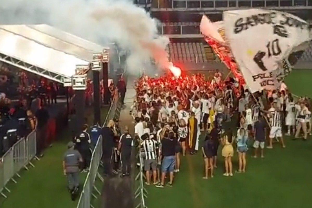 4419810390955468 opadoi