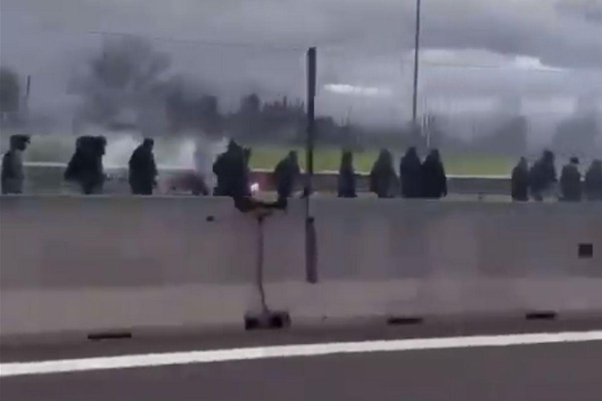 4424379716321452 image